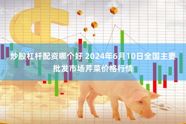 炒股杠杆配资哪个好 2024年6月10日全国主要批发市场芹菜价格行情