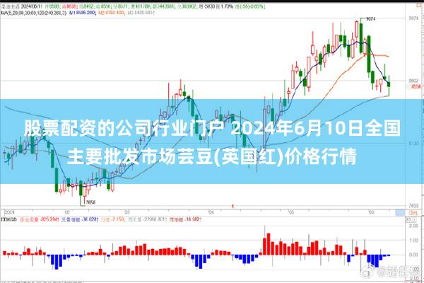 股票配资的公司行业门户 2024年6月10日全国主要批发市场芸豆(英国红)价格行情