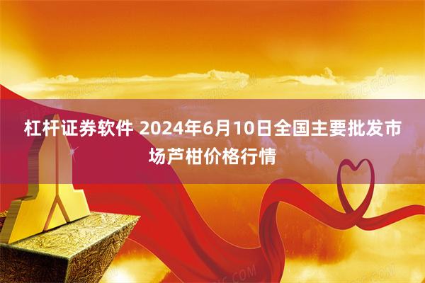 杠杆证券软件 2024年6月10日全国主要批发市场芦柑价格行情