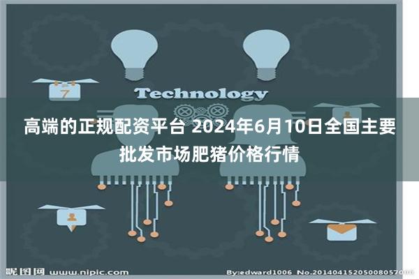 高端的正规配资平台 2024年6月10日全国主要批发市场肥猪价格行情