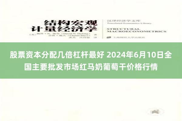 股票资本分配几倍杠杆最好 2024年6月10日全国主要批发市场红马奶葡萄干价格行情