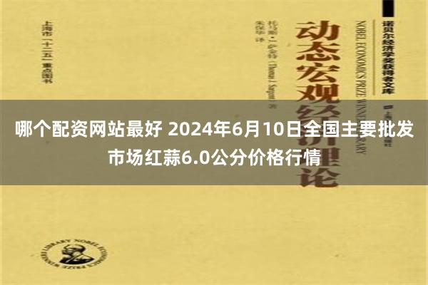 哪个配资网站最好 2024年6月10日全国主要批发市场红蒜6.0公分价格行情