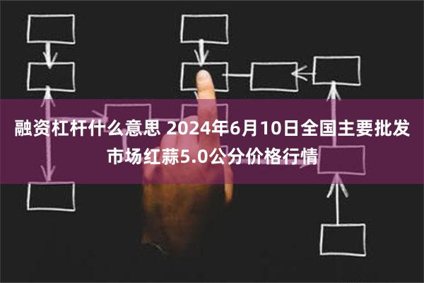 融资杠杆什么意思 2024年6月10日全国主要批发市场红蒜5.0公分价格行情