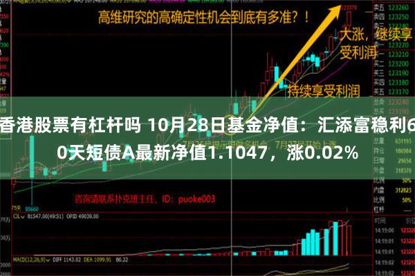 香港股票有杠杆吗 10月28日基金净值：汇添富稳利60天短债A最新净值1.1047，涨0.02%