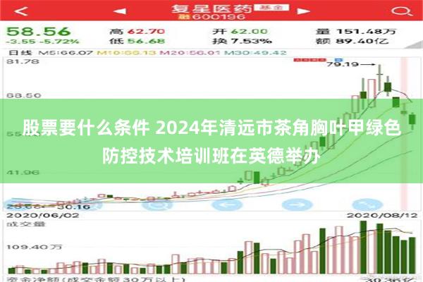 股票要什么条件 2024年清远市茶角胸叶甲绿色防控技术培训班在英德举办