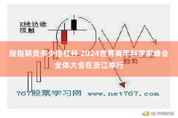 股指期货多少倍杠杆 2024世界青年科学家峰会全体大会在浙江举行