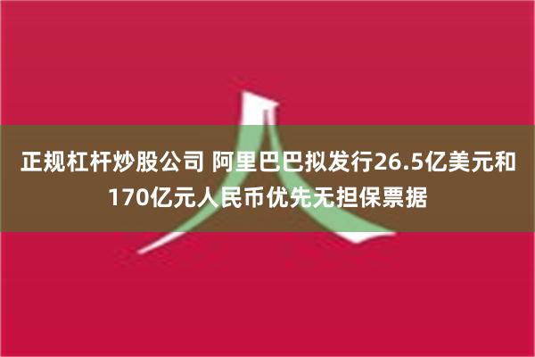 正规杠杆炒股公司 阿里巴巴拟发行26.5亿美元和170亿元人民币优先无担保票据