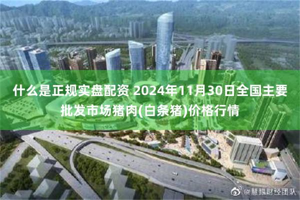 什么是正规实盘配资 2024年11月30日全国主要批发市场猪肉(白条猪)价格行情