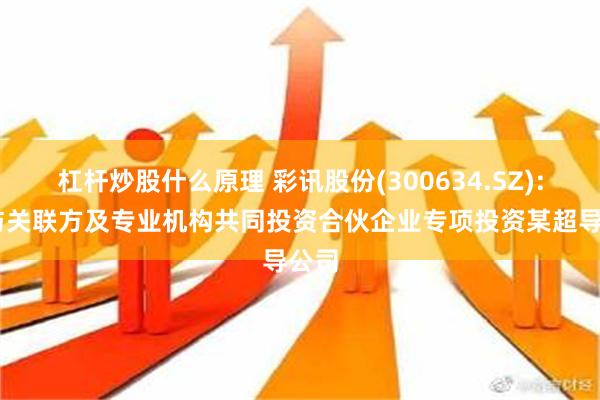 杠杆炒股什么原理 彩讯股份(300634.SZ): 拟与关联方及专业机构共同投资合伙企业专项投资某超导公司